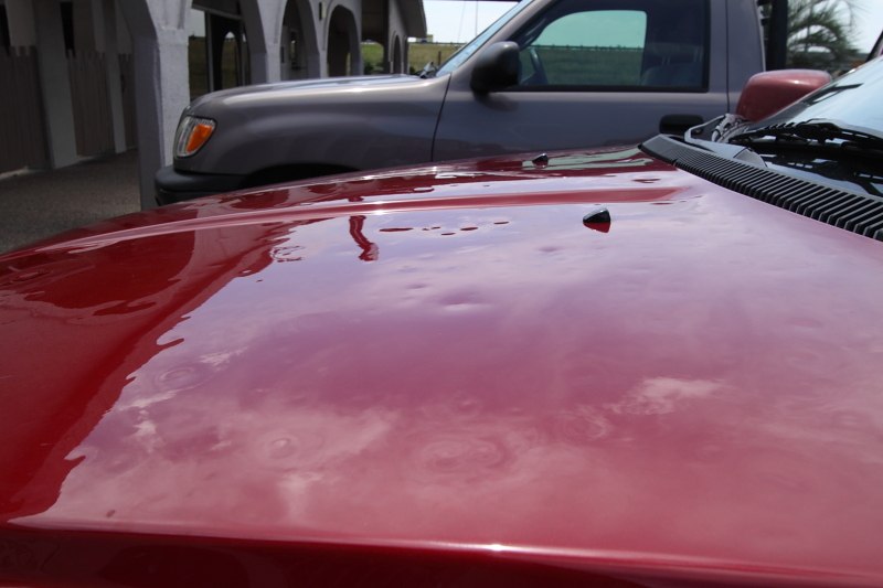 _MG_1763